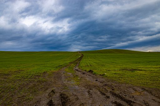beautiful landscape on top of the mountain view of the forest and clouds