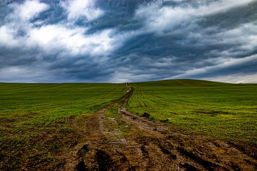 A drone shot of a green field under the cloudy sky near Skopje, Macedonia
