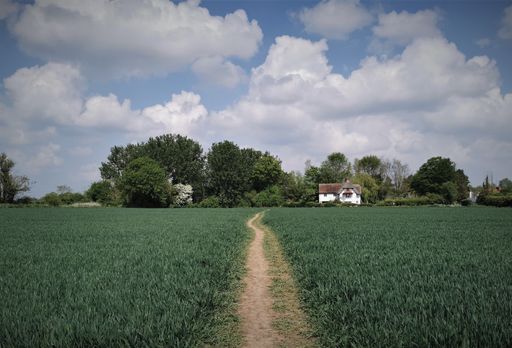 Beautiful scenery of path leading through cultivated field to white cottage under a cloudy sky.