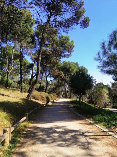 A vertical shot of a path in Quinta de Los Molinos Park, Madrid, Spain