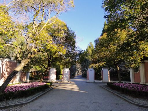 The Quinta de los Molinos park, Madrid, Spain