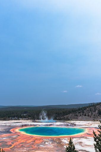 A vertical shot of the geyser in Yellowstone National Park, United States.