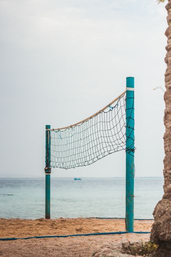 A volleyball net with blue poles on sandy beach by water next to a palm tree, vertical shot