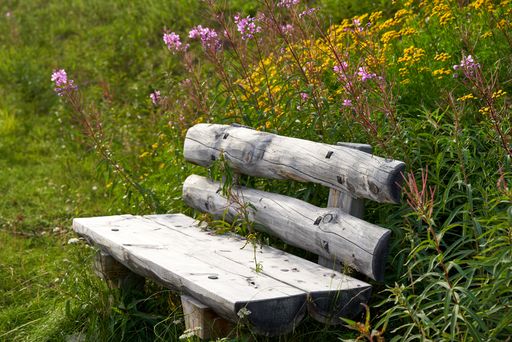 An old wooden bench surrounded by flowers in Norway
