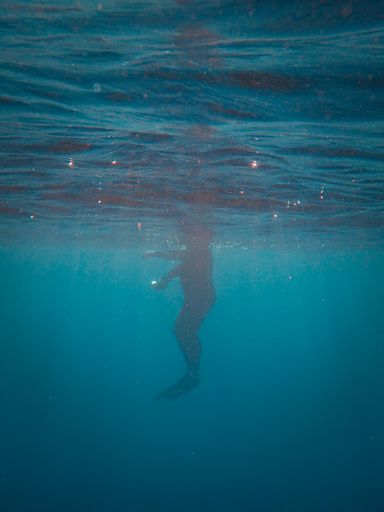 A beautiful view of an underwater world