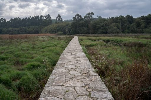 A beautiful view of a pathway in a field surrounded by trees under a cloudy sky
