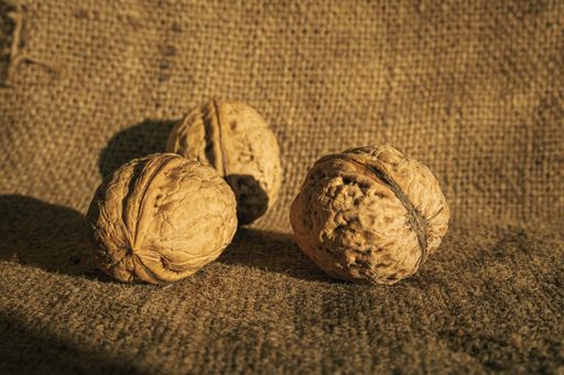A closeup shot of three walnuts on a background of burlap