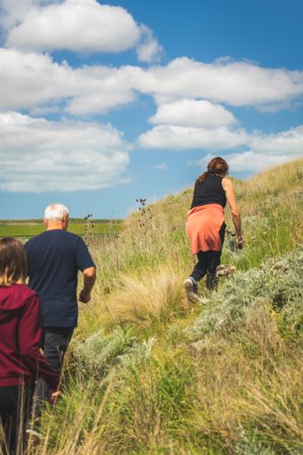 A rear view of hikers on a grassy hill under a cloudy sky