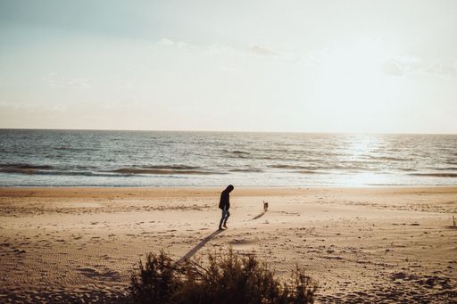 A man walking with his dog along the sandy beach on a sunny day
