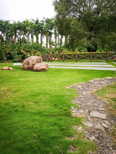 A view of a stone path and two big rocks on green grass by a wooden fence against trees and palm trees in the garden