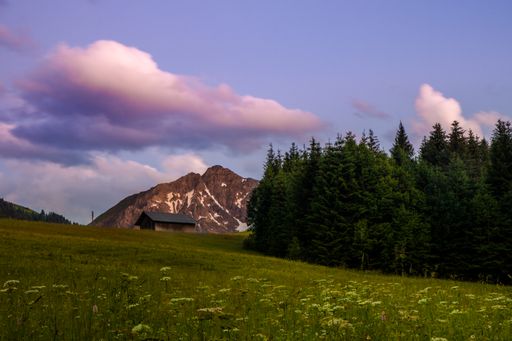 A beautiful shot of an old log cabin on a mountain next to a forest