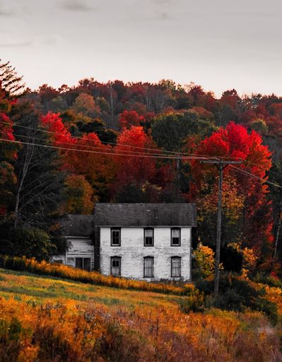 A beautiful aged house in the forest full of bright orange trees in autumn