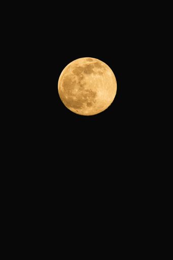 A vertical shot of the full moon isolated in dark background.