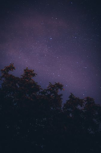 A vertical shot of the beautiful starry sky.