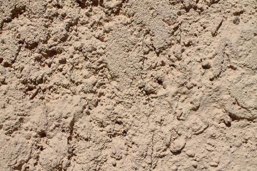 A closeup shot of a concrete wall texture with cracks under a sunlight