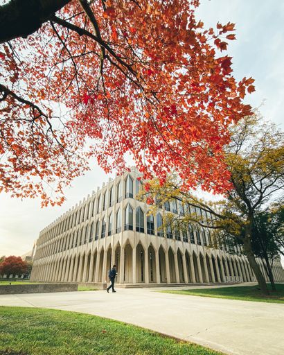 A fall walk in the yard of Wayne State University, Detroit, USA