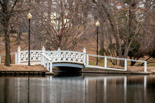 A beautiful shot of a white bridge over the small lake in the park