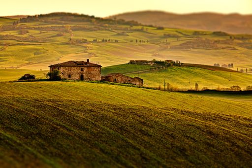 A green landscape with a soiled road and trees, and a building in distance in Tuscany, Italy