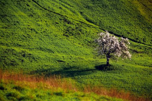 The gorgeous hills of Tuscany, Italy during daylight