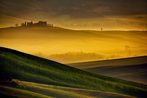 A green landscape with trees and a building in distance at scenic sunset in Tuscany, Italy