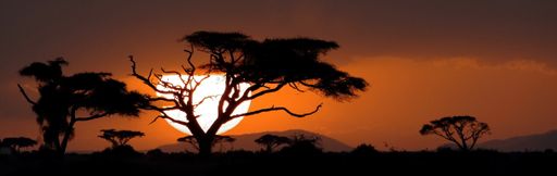 A silhouette shot of the landscape in Kenya during a sunset