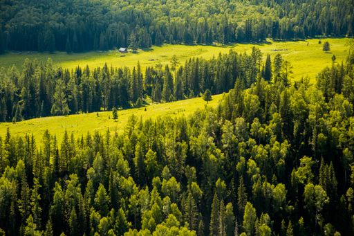 A mesmerizing view of forested mountains in Xinjiang, China