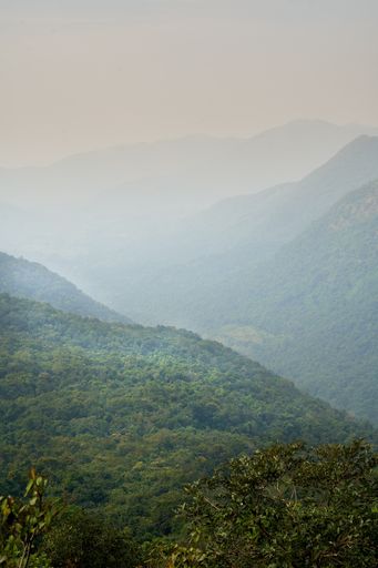 A vertical shot of Western Ghats. Western mountain range of India.