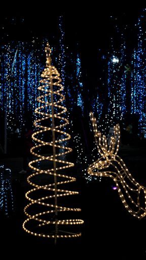 A Christmas tree and reindeer made of LED lights