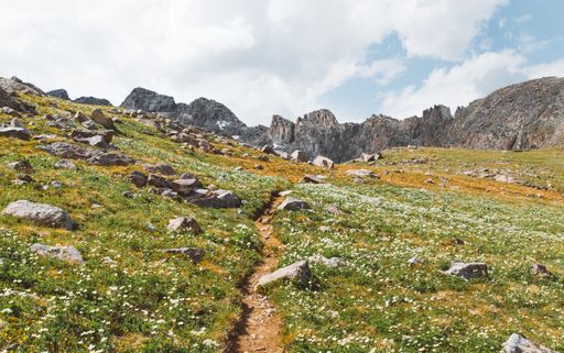A beautiful shot of narrow pathway in the middle of grassy fields with flowers and mountains in the distance
