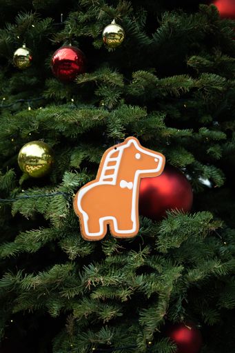 A closeup shot of ornament on a Christmas Tree