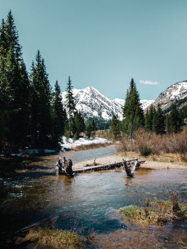 A vertical shot of water in the middle of dry grassy field and trees with snowy mountain and a clear sky in the background