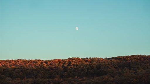 A beautiful view of a mountainous forest