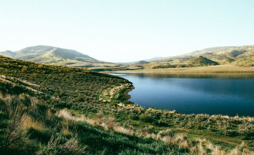 A beautiful shot of grassy field near the water with a forested mountain in the distance under a clear sky