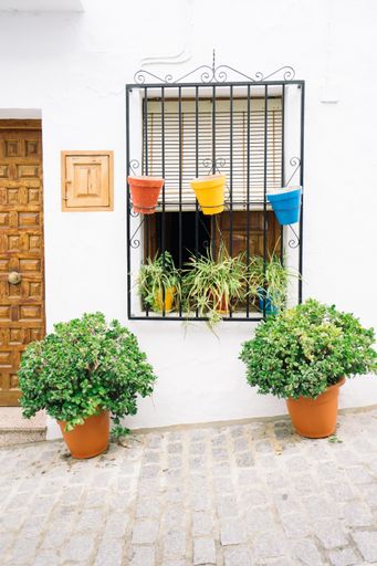 A vertical shot of the typical white building with plants in Malaga, Spain