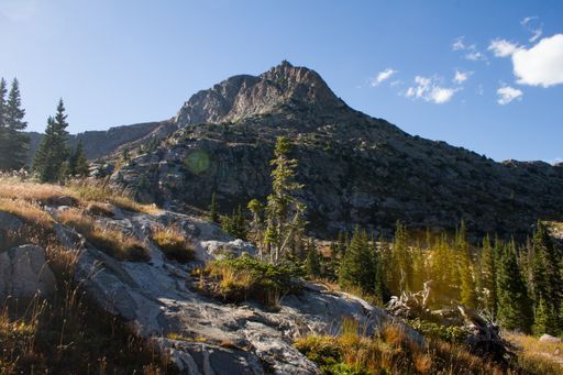A beautiful shot of a hill with trees near the mountain under a blue sky at daytime