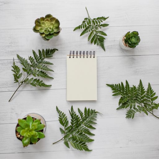 A notebook with space for text surrounded by green plants on a wooden surface