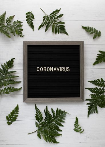 A black frame with the writing "coronavirus" surrounded by green leaves on a wooden surface