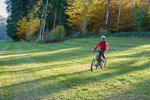 A male riding a bike in the forest on a sunny day