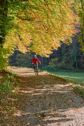 A vertical shot of a male riding a bike in the forest on a sunny day