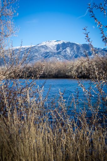 A vertical shot of the blue lake against the snow-covered mountain.