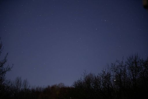 A beautiful  low angle shot of leafless trees against a sky full of stars at night