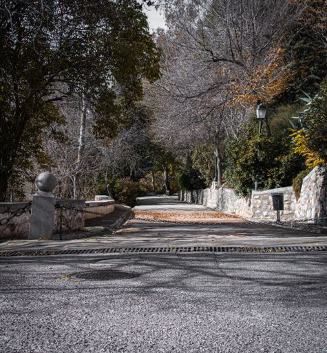 A view of a park with narrow asphalt path surrounded by forest under a bright sunlight