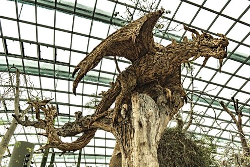 A wooden handmade dragonBotanical Garden in Singapore tourisitic landscape