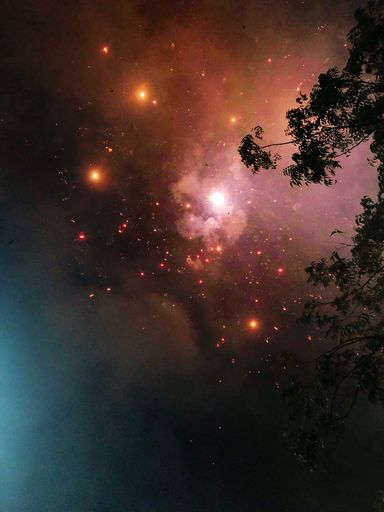 A vertical shot from the ground of firecrackers in the sky.