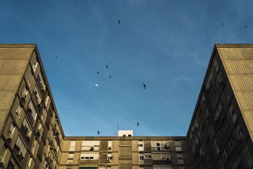 A low angle shot of a building with birds flying over it under the blue sky