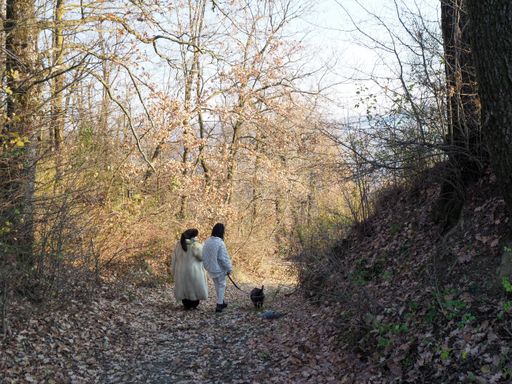 A young African American female and her mother in a fur coat with a dog walking in a park