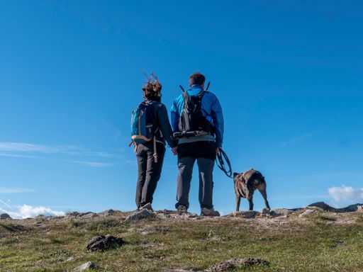 The Hispanic couple with their dog on the peak of a mountain