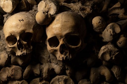 A closeup of human skulls and Bones