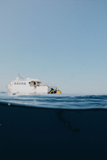 A vertical shot of a diver swimming to the ship