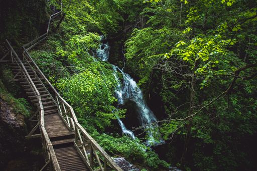A scenic view of wooden stairs near a waterfall flowing down the rocks among green trees